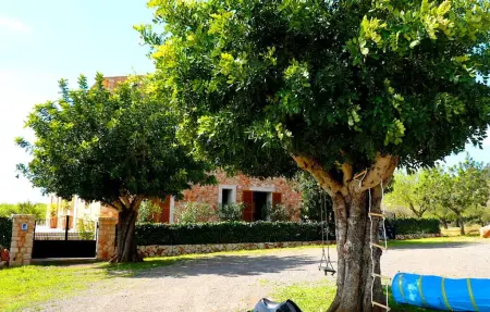 Olivo, maison 12 pers. avec piscine à Majorque : photo 16