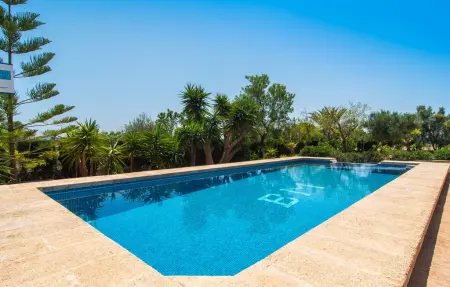 Els Girasols, maison 8 pers. avec piscine à Campos : photo 3