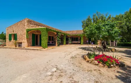 Els Girasols, maison 8 pers. avec piscine à Campos : photo 15