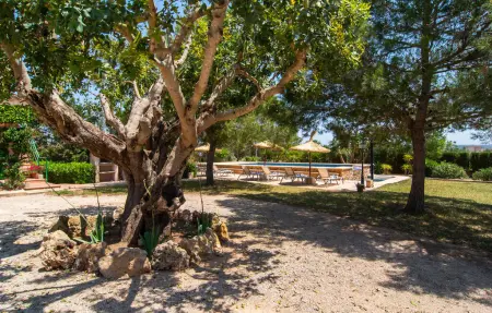 Els Girasols, maison 8 pers. avec piscine à Campos : photo 22