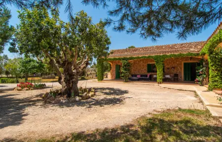 Els Girasols, maison 8 pers. avec piscine à Campos : photo 23