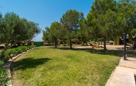 Els Girasols, maison 8 pers. avec piscine à Campos : photo 25