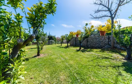 Es Rafal de Baix, Maison 8 personnes à Arta - Photo 22