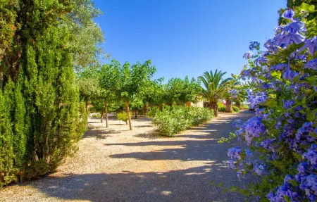 Villa Jara – Maison 10 pers., piscine chauffée à Ses Covetes : photo 19