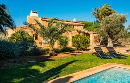 Can Farineta, finca majorquine 7 pers. sur 3 hectares : photo 2