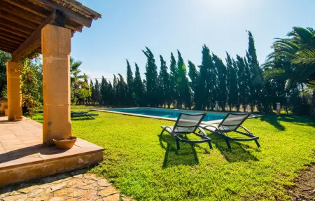 Can Farineta, finca majorquine 7 pers. sur 3 hectares : photo 4