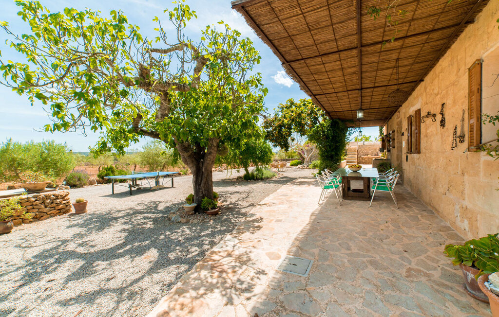 Sa Vinyassa Des Comte, Maison 5 personnes à Santa Margalida - Photo 6
