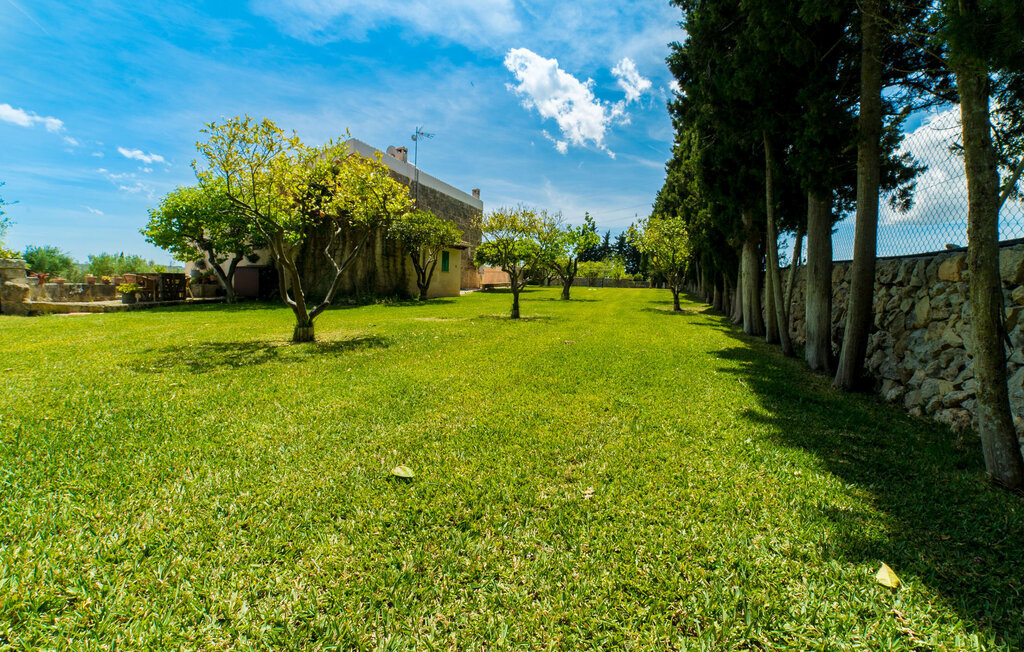 Sa Vinyassa Des Comte, Maison 5 personnes à Santa Margalida - Photo 14