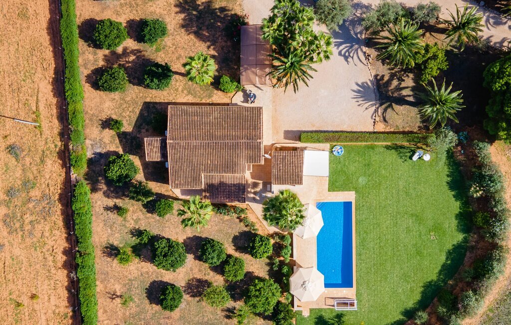 La Estrella, Maison 4 personnes à Campos - Photo 14