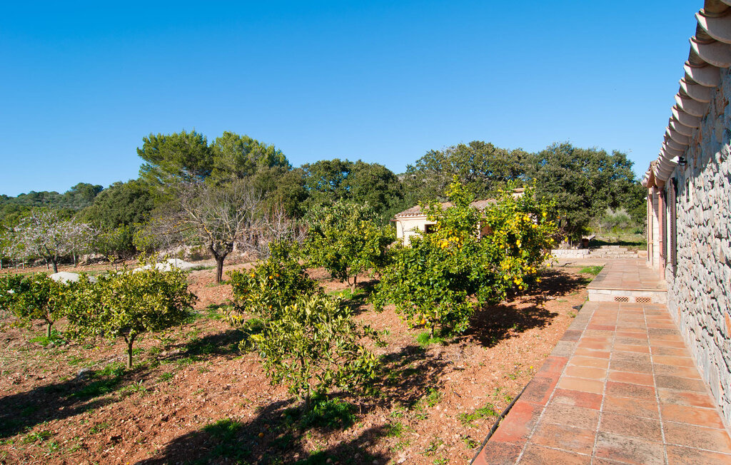 Els Nou Cortons, maison rurale 6 pers. avec piscine - Photo 21