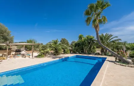 Finca Franka : maison 6 pers. piscine eau salée à Manacor : photo 3