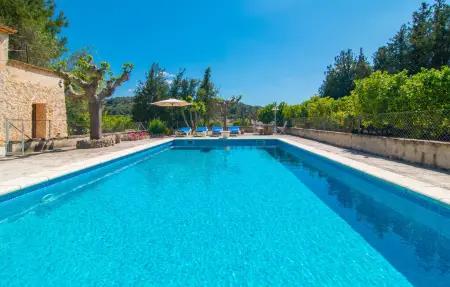 Villa Manenta : maison avec verger et piscine : photo 5