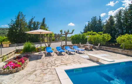 Villa Manenta : maison avec verger et piscine : photo 7