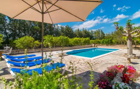 Villa Manenta : maison avec verger et piscine : photo 12