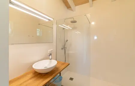 Can Riera d'Es Trenc – Finca 12 pers., piscine mosaïque : photo 55