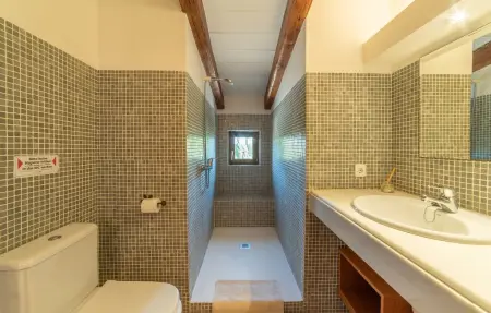 Can Riera d'Es Trenc – Finca 12 pers., piscine mosaïque : photo 57