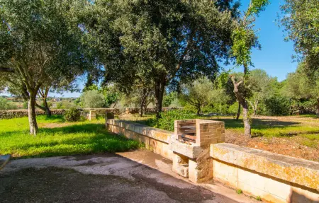 Sa Carrotja Vella : maison de ferme 5 chambres à Porto Cristo : photo 16