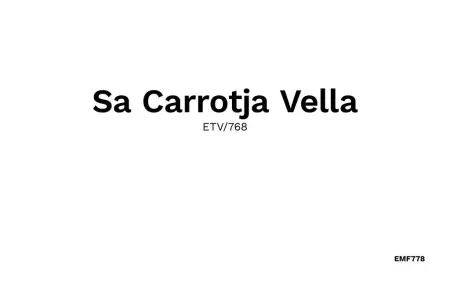 Sa Carrotja Vella : maison de ferme 5 chambres à Porto Cristo : photo 48
