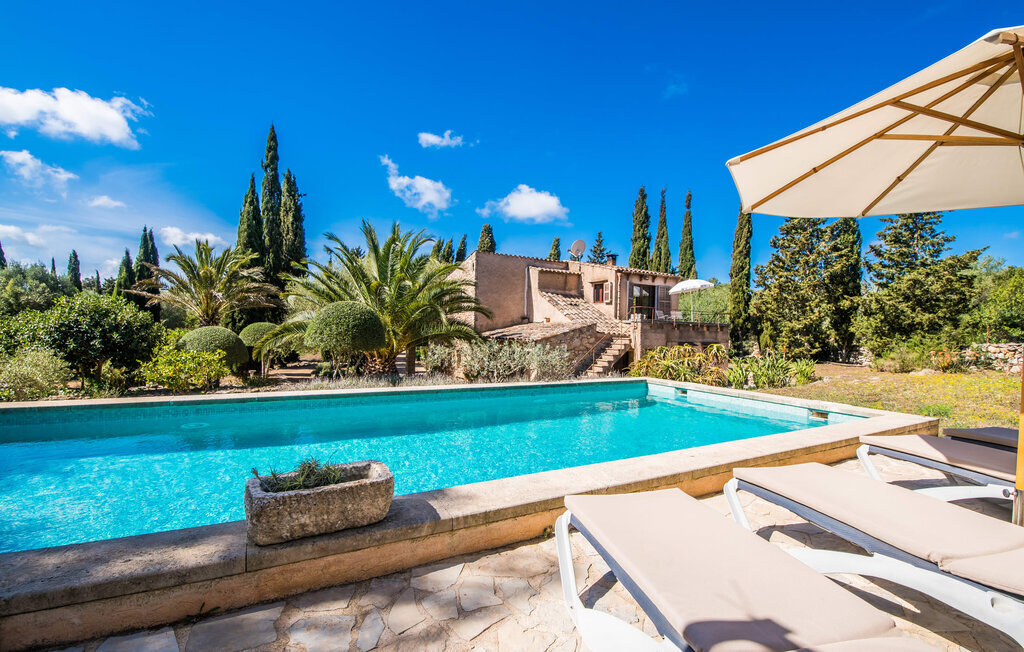 Villa Bona Feina à Artà, piscine et jardin d'oliviers - Photo 5