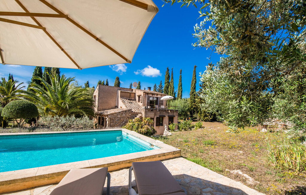 Villa Bona Feina à Artà, piscine et jardin d'oliviers - Photo 8