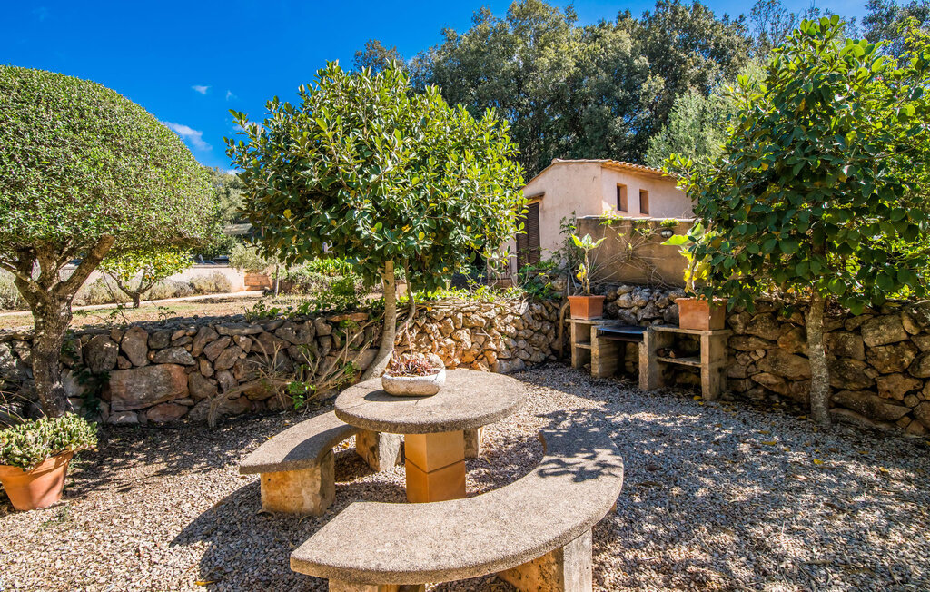 Villa Bona Feina à Artà, piscine et jardin d'oliviers - Photo 9