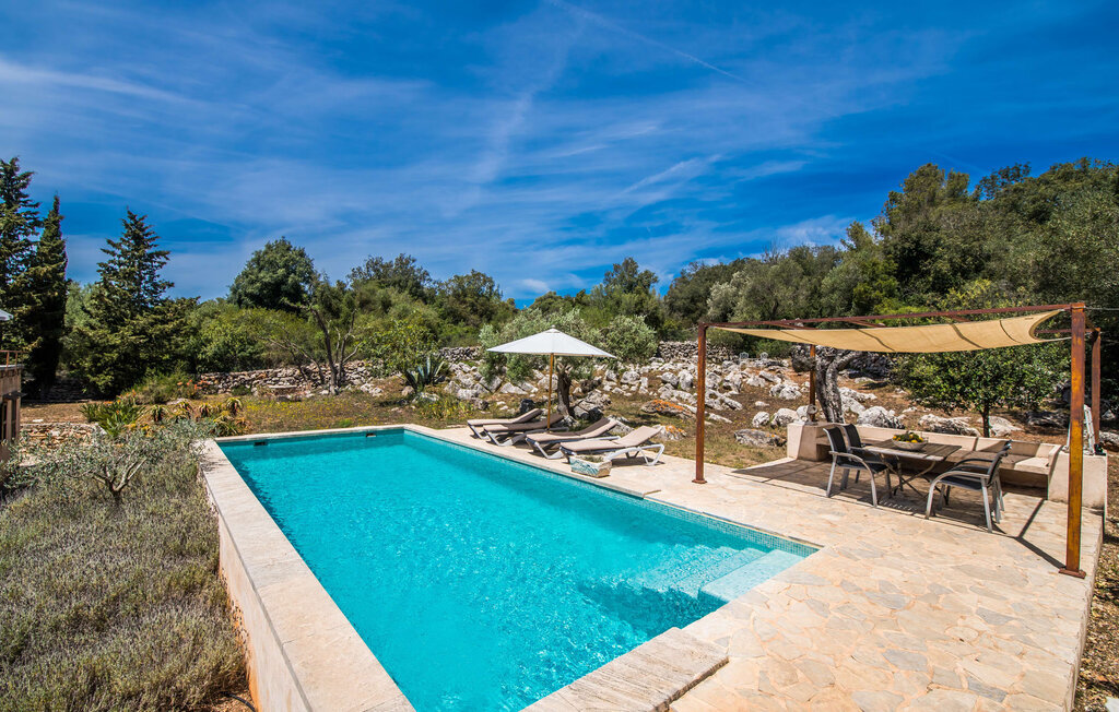Villa Bona Feina à Artà, piscine et jardin d'oliviers - Photo 13