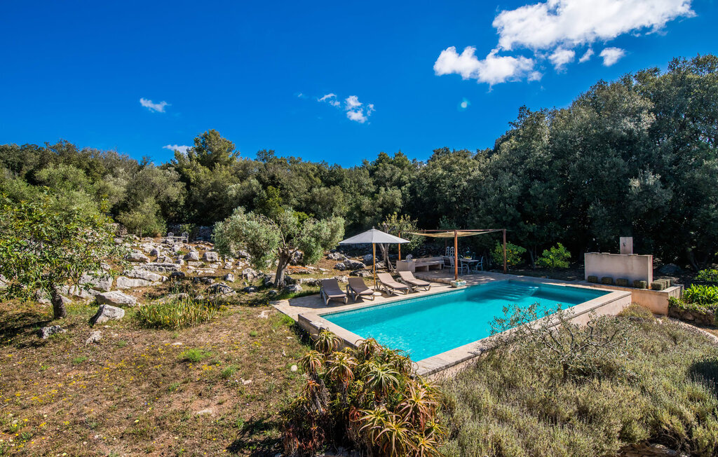 Villa Bona Feina à Artà, piscine et jardin d'oliviers - Photo 14