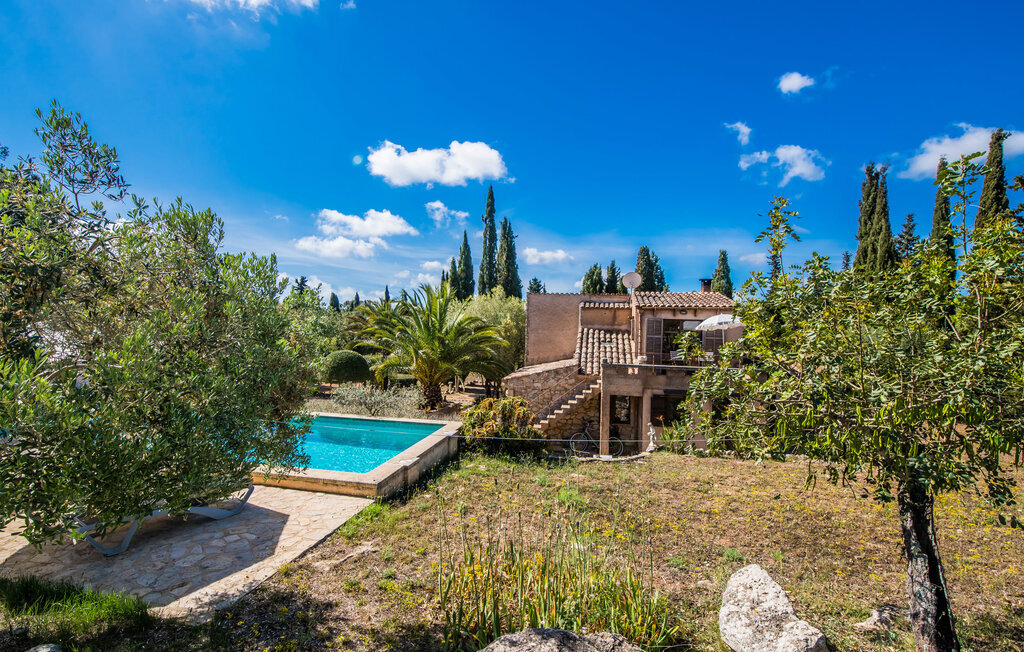 Villa Bona Feina à Artà, piscine et jardin d'oliviers - Photo 15