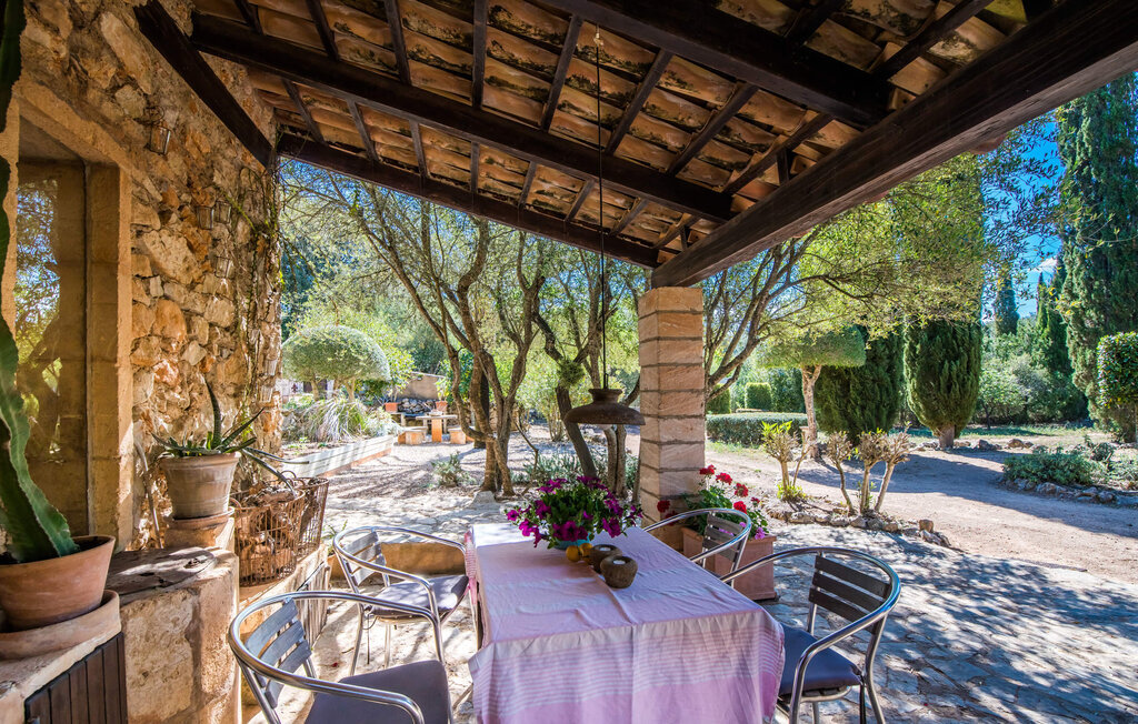 Villa Bona Feina à Artà, piscine et jardin d'oliviers - Photo 22