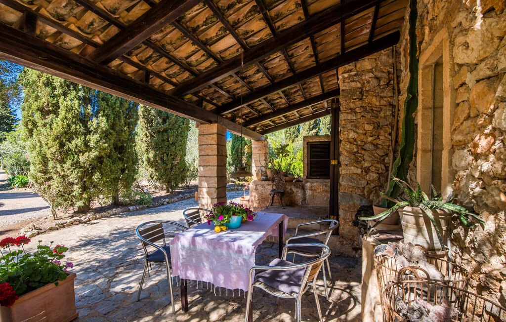 Villa Bona Feina à Artà, piscine et jardin d'oliviers - Photo 23