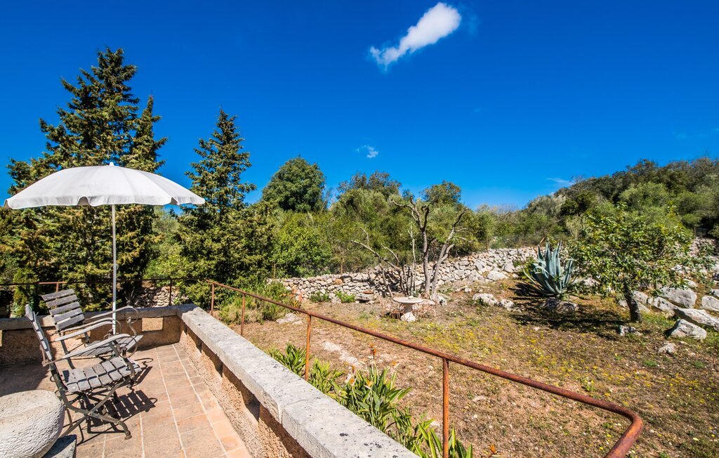 Villa Bona Feina à Artà, piscine et jardin d'oliviers - Photo 25