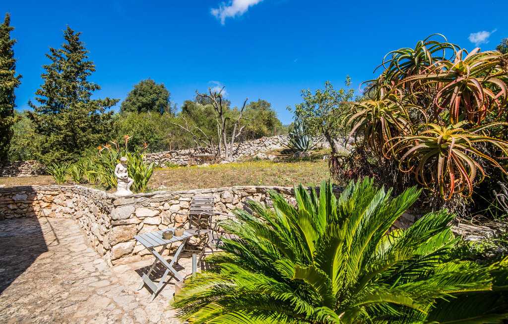 Villa Bona Feina à Artà, piscine et jardin d'oliviers - Photo 26