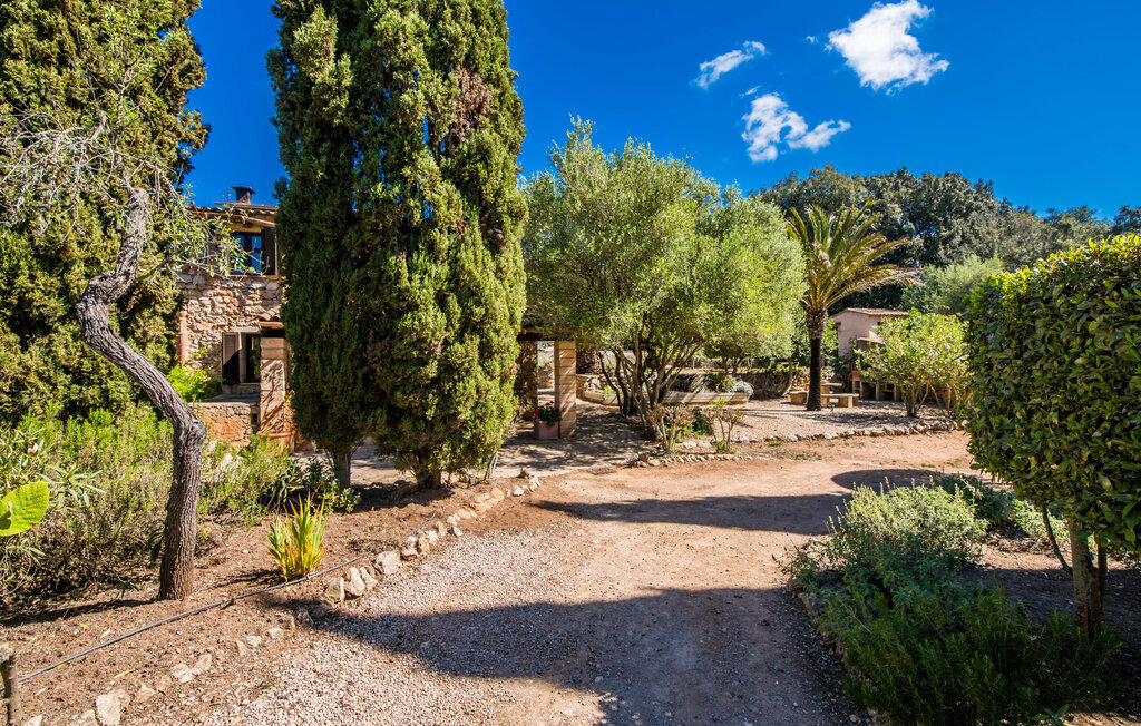 Villa Bona Feina à Artà, piscine et jardin d'oliviers - Photo 28