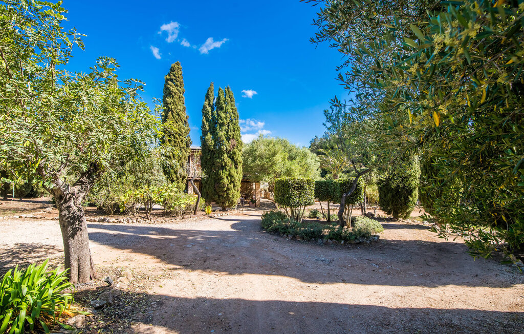 Villa Bona Feina à Artà, piscine et jardin d'oliviers - Photo 29