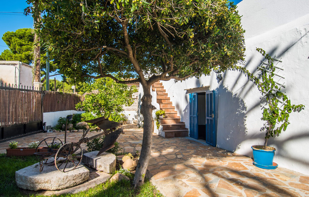 Molino de Son Moll, maison avec moulin à vent - Photo 19