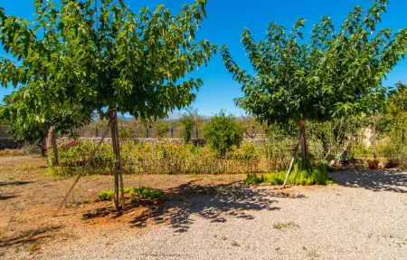 Ca Na Poveta, villa 6 pers. avec piscine à Santa Margalida : photo 25