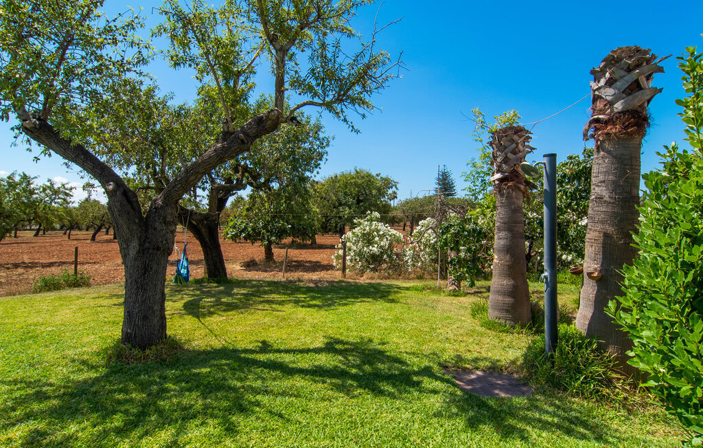Son Ametller, Maison 8 personnes à Palma - Photo 16