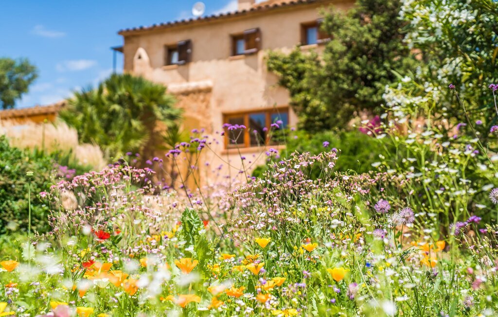 Can Tian de Llevant, Maison 8 personnes à Manacor - Photo 19