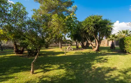 Tiraset, Maison 6 personnes à Llubi - Photo 22