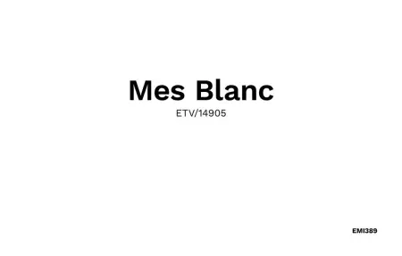 Mes Blanc, Maison 6 personnes à Son Serra de Marina - Photo 34