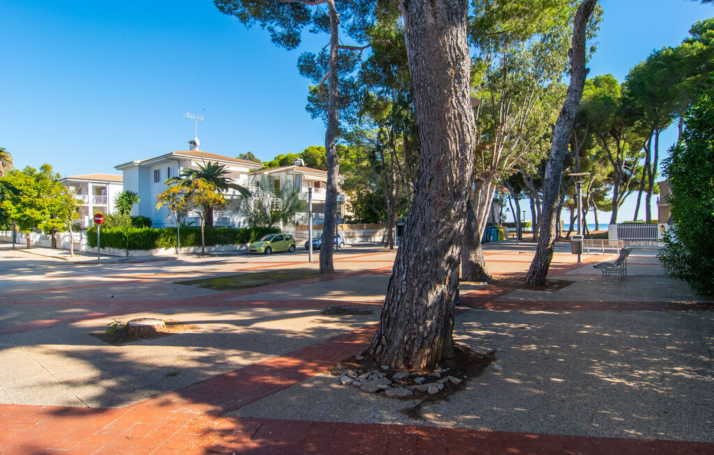 Es Baladre Beach, Maison 6 personnes à Alcudia - Photo 37