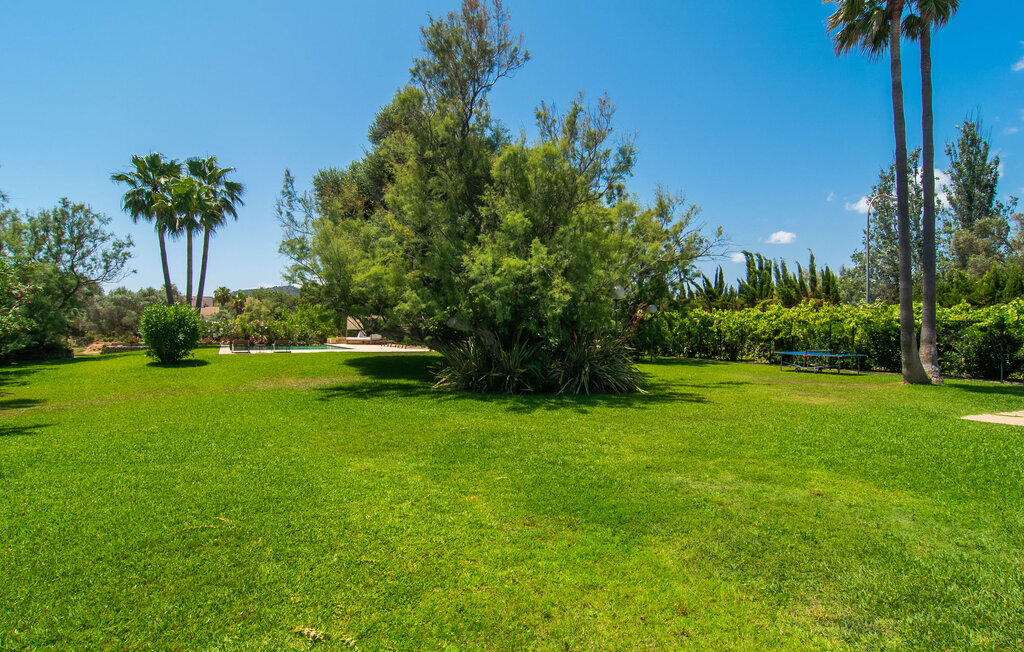 Los Pinos, villa en bord de mer à Port Verd - Photo 23