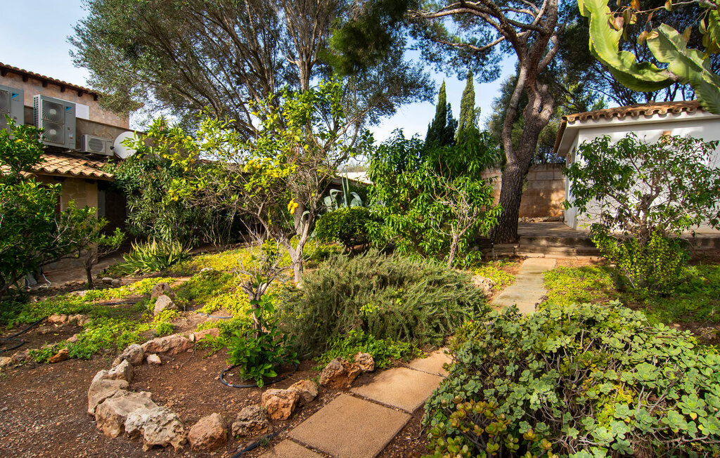Calimero Alegria, Maison 8 personnes à Palma - Photo 17