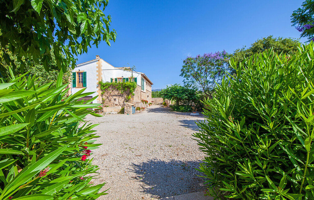 Son Corco, Maison 6 personnes à Consell - Photo 14
