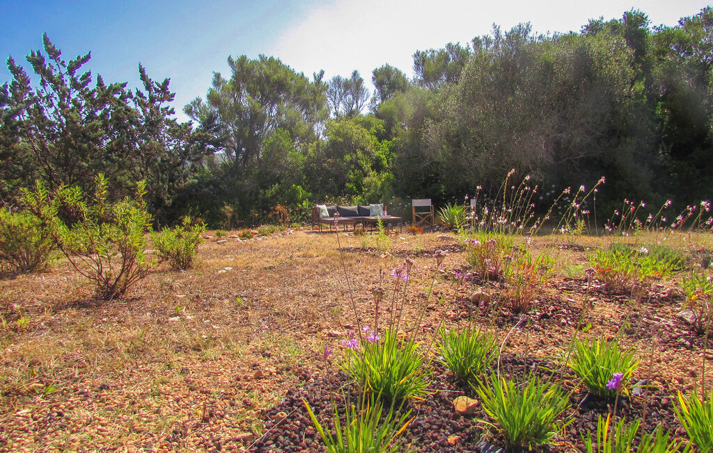 Can Terrasa : maison 6 pers. avec piscine à Canyamel - Photo 15