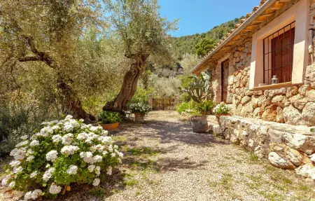 Rustica Es Seguers, Maison 3 personnes à Fornalutx - Photo 11