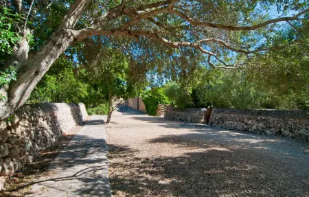 Appartement Samagatai à Manacor, Agroturismo Son Sureda : photo 35