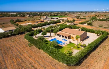 Sa Vinya Gran, maison 8 pers. à Campos : photo 2