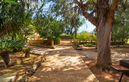 Can Crestall - Finca majorquine avec piscine 10m : photo 22