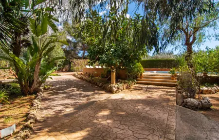 Can Crestall - Finca majorquine avec piscine 10m : photo 23